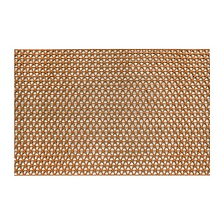 พรมดักฝุ่น WORM MAT (แบบตัดขายเป็นเมตร) รุ่น HW/BM-102-3 BROWN ขนาด 0.6 เมตร สีน้ำตาล พรมเช็ดเท้า WORM MAT Dust Trap Mat