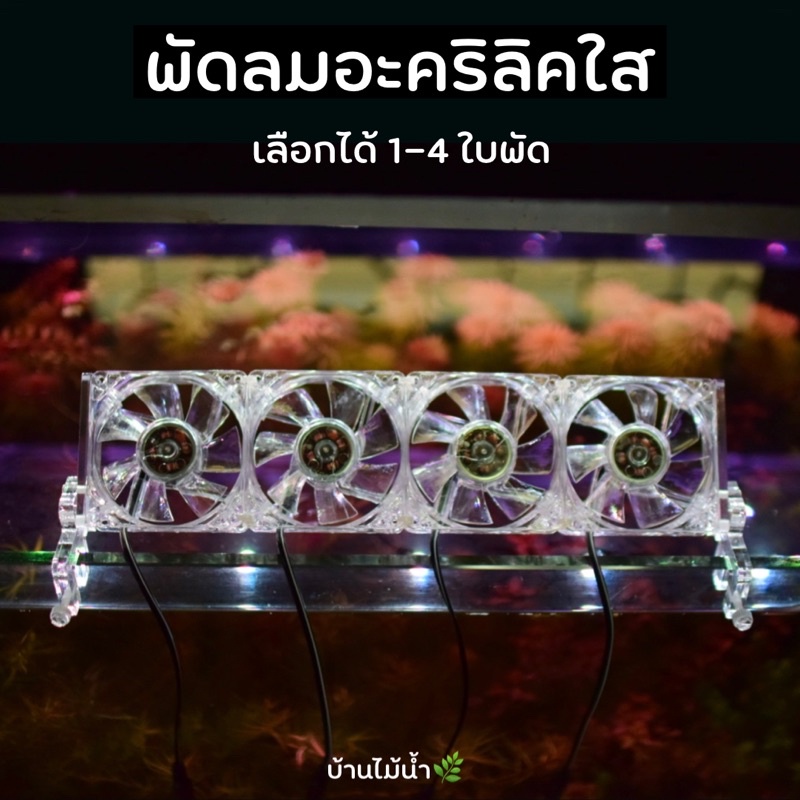 พัดลมใส พัดลมอะคริลิคใส พัดลมตู้ปลา พัดลมตู้ไม้น้ำ พัดลม ปรับความแรงและองศาได้ Aquarium Fan Cooling | บ้านไม้น้ำ🌿