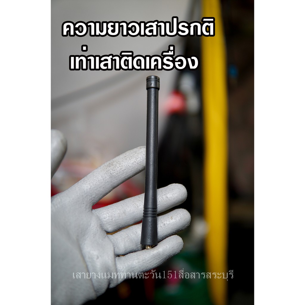 รูปภาพ 2
