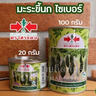 เมล็ดพันธุ์มะระขี้นก ไซเบอร์ F1 เอฟวัน เมล็ดพันธุ์ ตรา ศรแดง บรรจุ 20 / 100 กรัม ต่อกระป๋อง