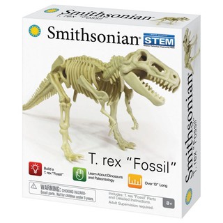 Smithsonian ของเล่นวิทยาศาสตร์ Micro Dinosaur Fossils