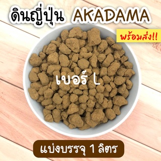 ดินญี่ปุ่นอาคาดามะ เบอร์ L พร้อมส่ง!! แบ่งบรรจุ 1 ลิตร ดินญี่ปุ่น Akadama ดินปลูกแคคตัส บอนไซ กระบองเพชร ใช้โรยหน้าดิน