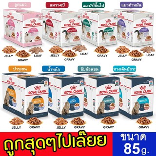 royal canin pouch 85g อาหารเปียก รอยัล คานิน แบบซอง 85กรัม kitten gravy jelly ซอง อาหารเปียก