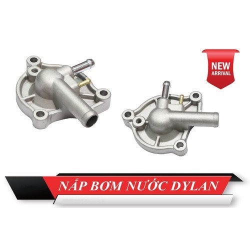 ฝาครอบปั๊มน้ํา Dylan