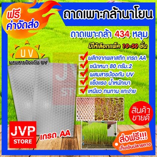 **ส่งฟรี** ถาดเพาะกล้านาโยน 434หลุม มีให้เลือกแพ็ค 10-50ถาด(Seedling tray) ถาดเพาะต้นกล้า ถาดเพาะเกรดA ถาดเพาะเมล็ด