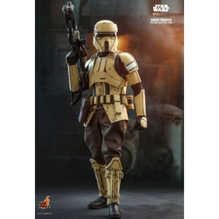 HOT TOYS TMS031 STAR WARS : THE MANDALORIAN™ - SHORETROOPER™