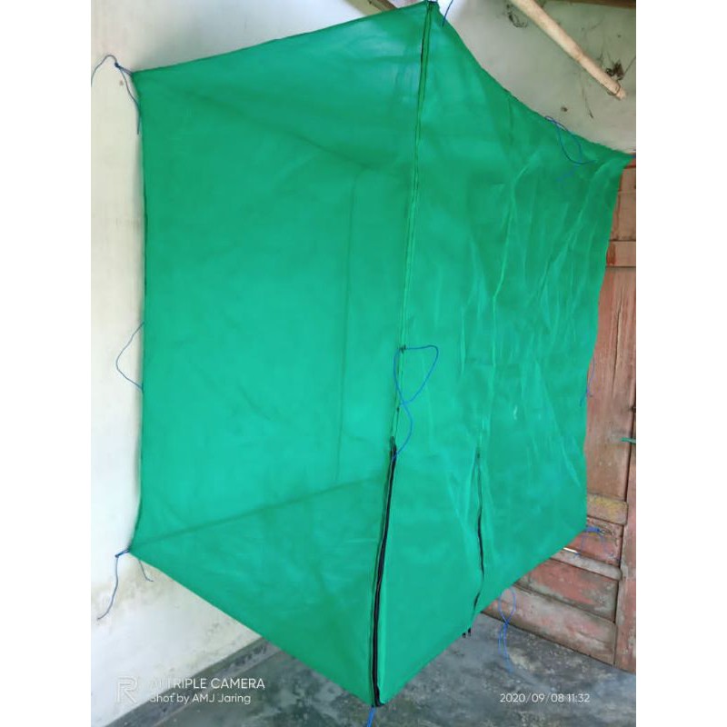 กรง Bsf*************