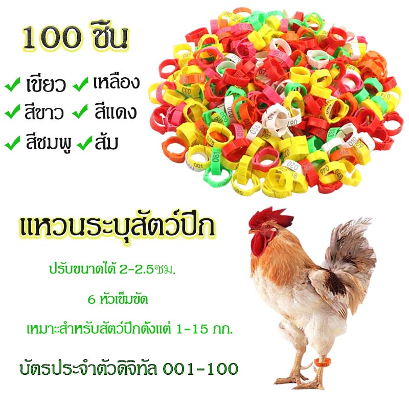 100 ชิ้นห่วงขาไก่ แหวนขาไก่ ห่วงขาไก่ชน แหวนไส่เท้าไก่ สัตว์ปีกแหวนเท้าไก่เป็ดนกหัวเข็มขัดประเภทคลิปที่มีสัญญาการให้อาหา