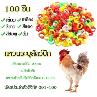 100 ชิ้นห่วงขาไก่ แหวนขาไก่ ห่วงขาไก่ชน แหวนไส่เท้าไก่ สัตว์ปีกแหวนเท้าไก่เป็ดนกหัวเข็มขัดประเภทคลิปที่มีสัญญาการให้อาหา