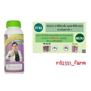 RD2551 โปรตีนอะมิโน - สูตรกลิ่นอ่อน