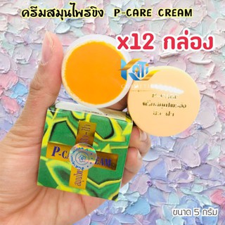 ครีมสมุนไพรขิง ยกโหล (12 กล่อง)  พี-แคร์ ครีม P-CARE CREAM (ของแท้) ขนาด 5 กรัม สูตรดั้งเดิม