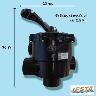 มัลติพอร์ทวาล์ว (Multiport Valve) 1.5/ 2" Jesta