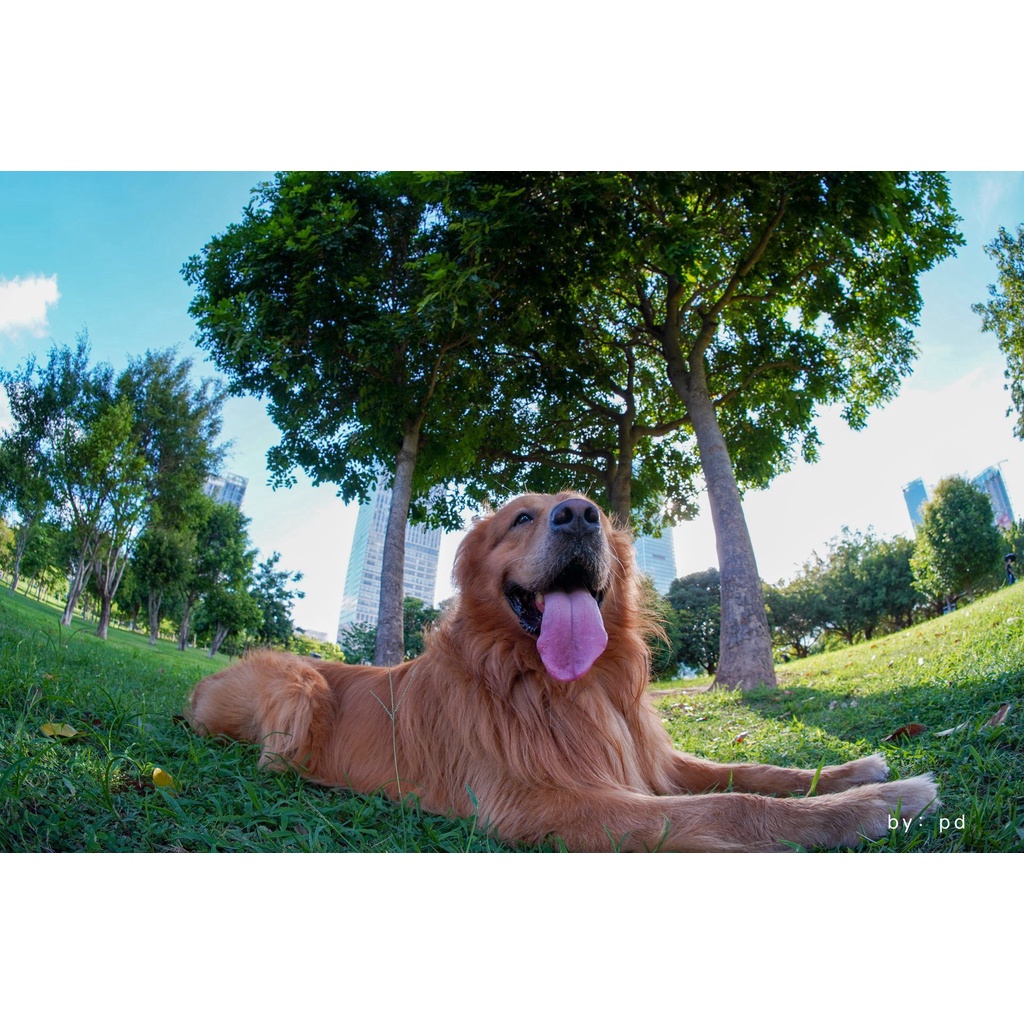 รูปภาพ 6