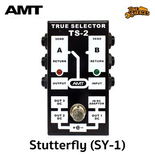 AMT TS-2 True Selector A/B Selector/Pedal Passive Selector กล่อง A/B