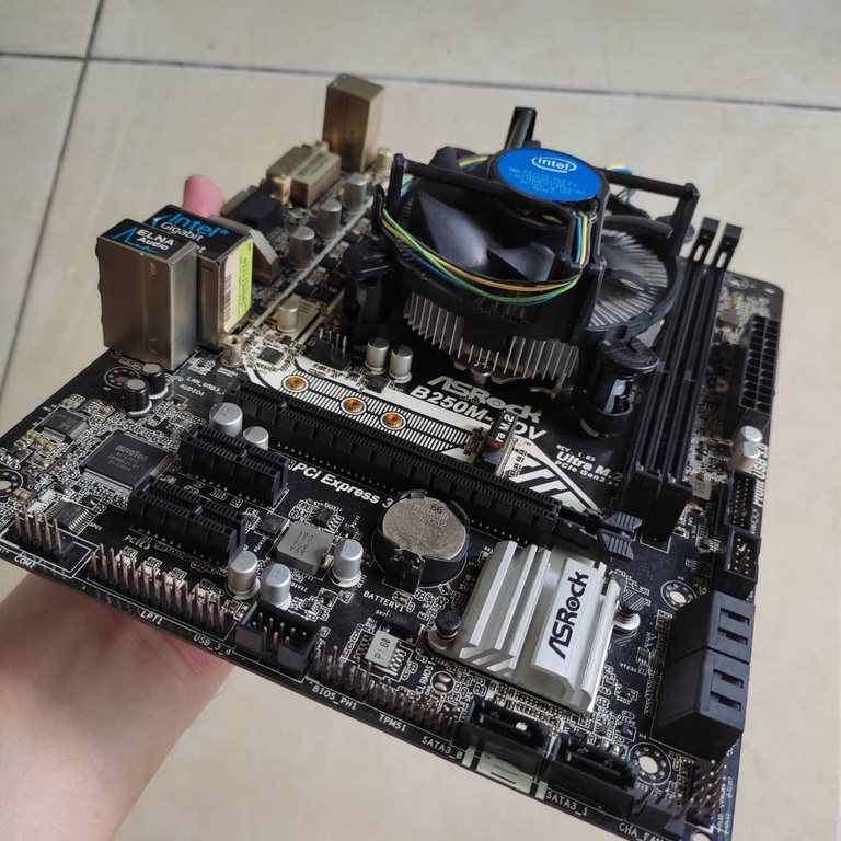 เมนบอร์ด+CPU Asrock B250M-HDV + Pentium G4560