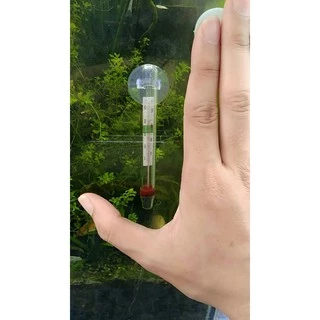 ที่วัดอุณหภูมิ​ตู้ปลา​ อุณหภูมิที่ดี20-28องศา