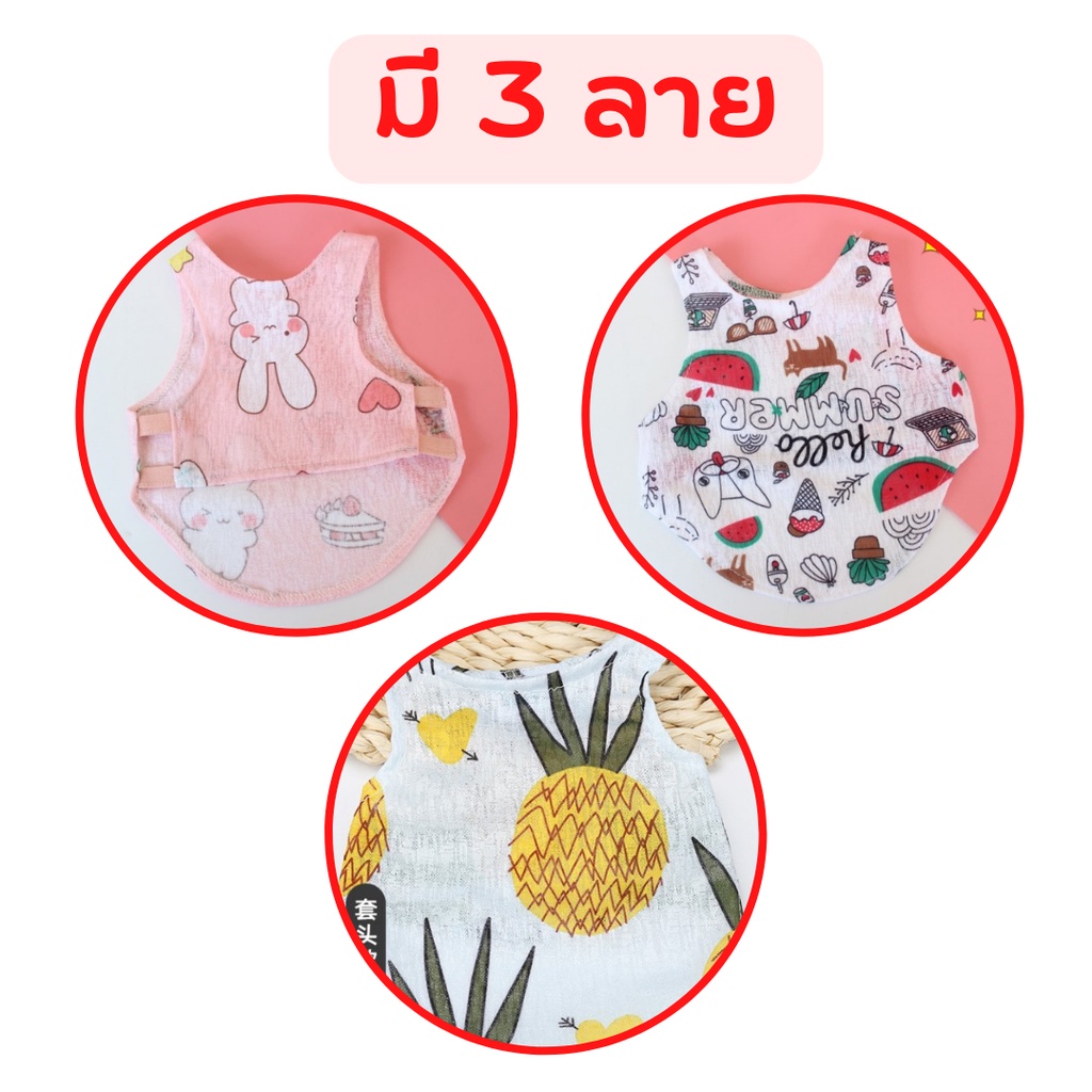พร้อมส่ง เสื้อสำหรับสัตว์เลี้ยง สุนัข เเมว ใส่ง่าย สบายตัว ละบายอากาศ ได้ดี - รูปที่ 3