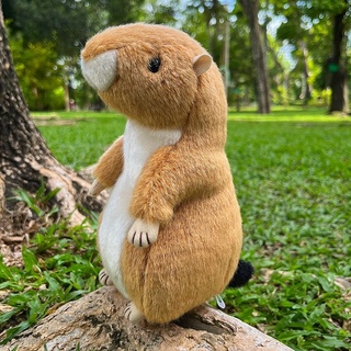 ตุ๊กตาแพรรีด็อก (Prairie dog)กระรอกดิน เหมือนจริง Prairie dog stuffed plush toy Rabbit ตุ๊กตาสัตว์เหมือนจริง Prairie dog