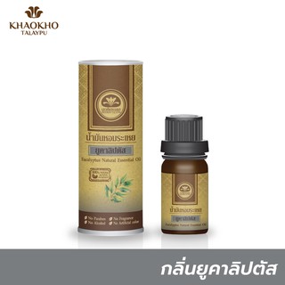 Khaokho Talaypu เขาค้อทะเลภู น้ำมันหอมระเหย กลิ่นยูคาลิปตัส น้ำหอมจากธรรมชาติ ช่วยปรับอากาศ ดับกลิ่น (10 มล.)