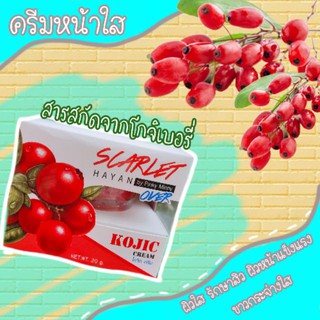 ครีม โกจิ สกาเร็ท Cream kojic scarlet