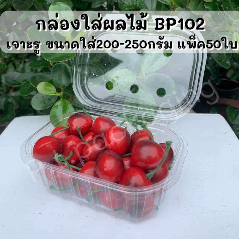 กล่องใสใส่ผลไม้ 250กรัม ไซต์BP102 เจาะรู ฝาคลิปล็อค แพ็ค50ใบ(((รหัสBP102)))