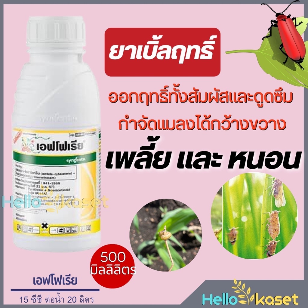 เอฟโฟเรีย สารไทอะมีท็อกแซม+แลมบ์ดา ขนาด500ซีซี ออกฤทธิ์ทั้งสัมผัสและดูดซึม แมลงปากกัดแมลงปากดูด