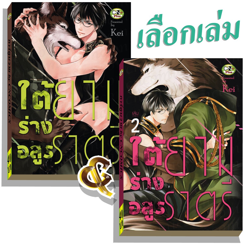 My Image 33