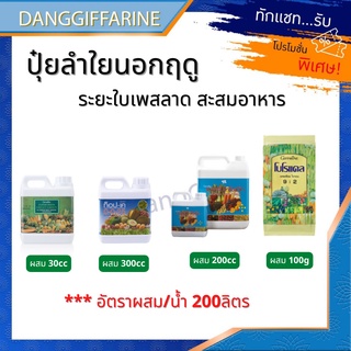 ปุ๋ย ปุ๋ยลำใย ปลูกนอกฤดู ระยะใบเพสลาด สะสมอาหาร ปุ๋ยกิฟฟารีน เกรทกรีน โบโรแคล ท๊อปเค เทอร์โบไทโอแม็กซ์