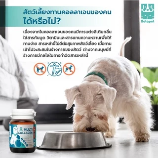 BETAPET อาหารเสริมคอลลาเจน 100% สำหรับสุนัขและแมว บำรุงขนและผิวหนัง เพิ่มความชุ่มชื้น ลดผิวหนังหลุดลอกเป็นขุย