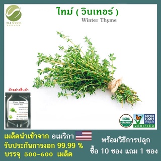 เมล็ดไทม์ (วินเทอร์ ไทม์) จำนวน 500-600 เมล็ด