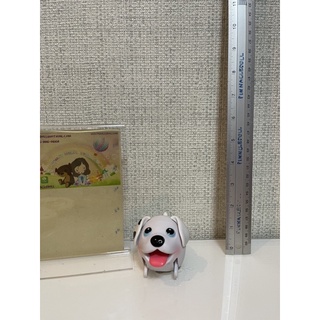 Chubby dog &amp; cat ลายจุด ติดปกติ น่ารัก สภาพ90%