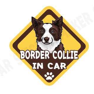 สติกเกอร์ติดรถ สติ๊กเกอร์ติดรถยนต์ สติกเกอร์หมา DGA42  Border Collie dog