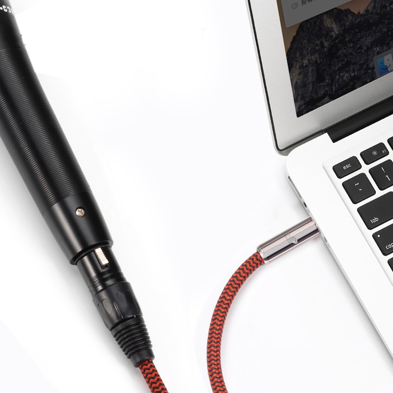 Golley LION สายเคเบิลแจ็คไมโครโฟน 3.5 มม. เป็น XLR ตัวเมีย XLR เป็น 1/8 นิ้ว