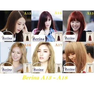(กล่อง) Berina เบอริน่า ครีมเปลี่ยนสีผม สีย้อมผม ปิดผมขาว ปิดหงอก สีแฟชั่น Berina Hair Color