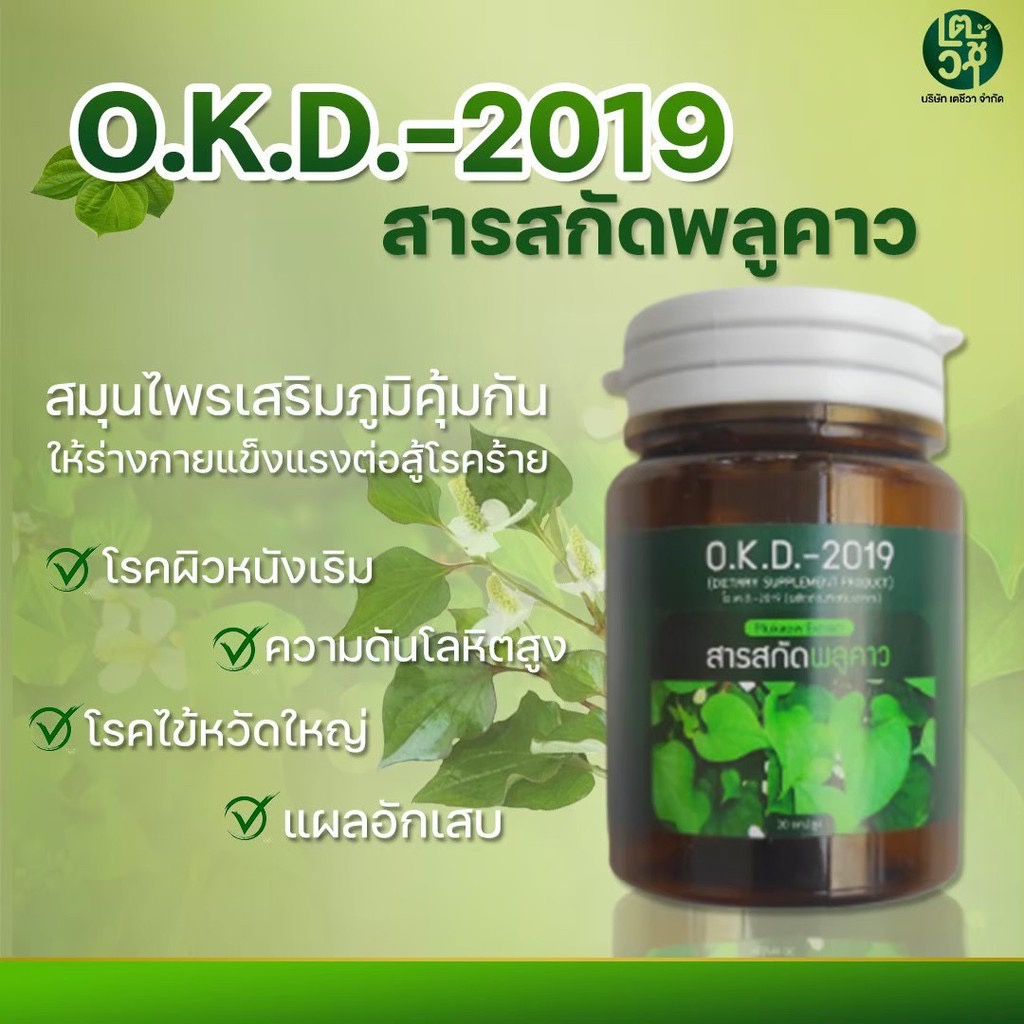 🔥[โปร 9.9]🔥สมุนไพรพลูคาว  ช่วยเสริมภูมิต้านทาน30 แคปซูล O.K.D พร้อมส่ง