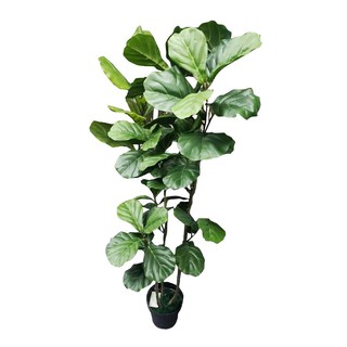 Artificial tree ARTIFICIAL FIDDLE-LEAF FIG SPRING 150CM Garden accessories Garden decoration accessories ต้นไม้ประดิษฐ์