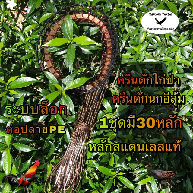 ครืนดักไก่ป่า ครืนดักนกอีลุ้ม หลักสแตนเลสแท้สีน้ำตาล 1ชุดมี30หลัก ต้อปลายPE ระบบล็อก หลักยาว6.5นิ้ว 