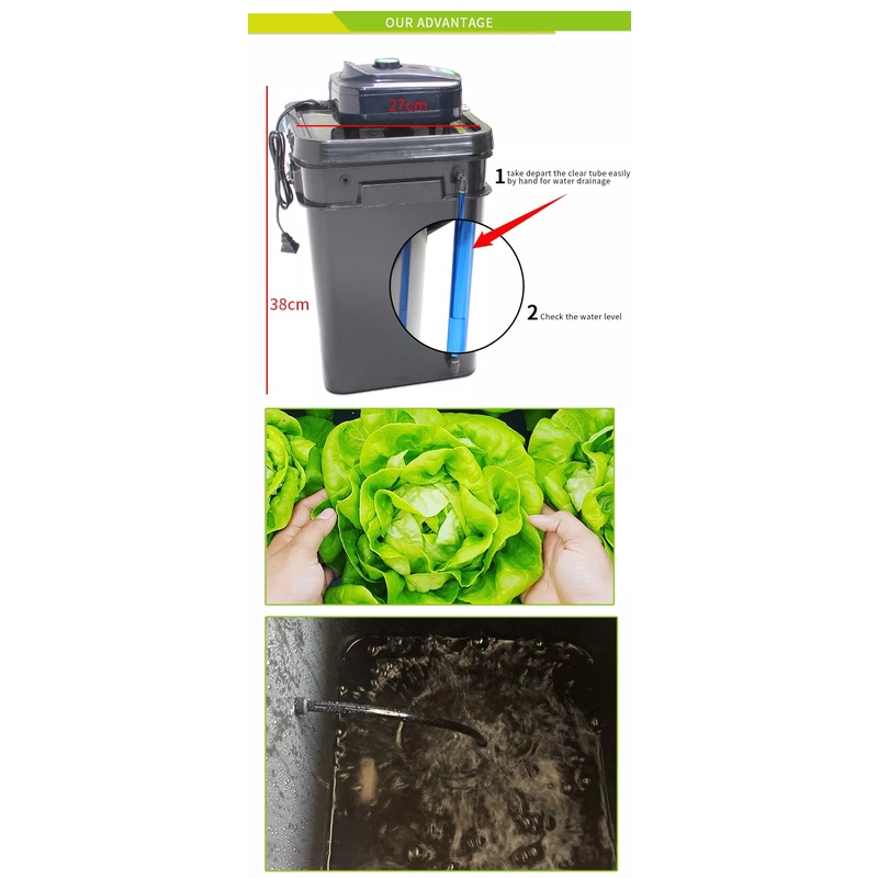 ชุดปลูกครบเซ็ท Hydroponic Grow System Deep Water Culture (DWC) Complete Kit (4 Bucket + Reservoir Kit) full set ราคา ถูกที่สุด ดีลบีเคเค แกลเลอรีภาพที่ 6