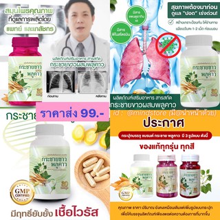 กระชายขาวสกัด กระชายขาวพลูคาว กระชายขาวสกัดเม็ด กระชายขาว