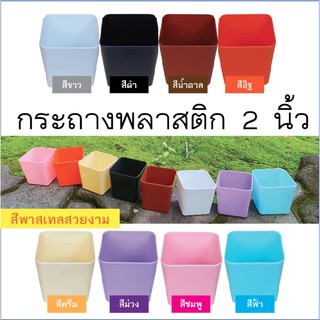 กระถางพลาสติก 2 นิ้ว (สั่งขั้นต่ำ 5 ชิ้นนะครับ) กระถางต้นไม้ กระถางแคคตัส กระถางมินิมอล กระถางกระบองเพชร CACTUS