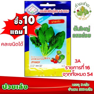 (ซื้อ10แถม1) เมล็ดพันธุ์ ปวยเล้ง SPINACH ประมาณ 300เมล็ด 3A สามเอ ผักสวนครัว เมล็ดพันธุ์พืช เมล็ดผัก เม็ดผัก พืชผัก