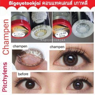 💟 Pitchylens Champen brown gray Contactlens บิ๊กอาย คอนแทคเลนส์ ราคาถูก แถมตลับฟรี