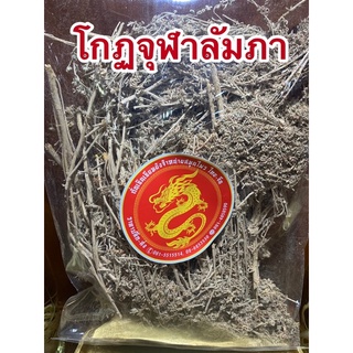 โกฐจุฬาลัมพา โกฐจุฬาลัมพา โกฐจุฬาลัมพา โกฐจุฬา โกฏจุฬารัมภา โกฐจุฬาลัมพาโกฐจุฬาโกฏจุฬารัมภา โกฏจุฬารัมพา โกดจุฬา โกฏจุฬา