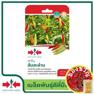 East-West Seed เมล็ดพันธุ์พริก (Hot pepper seeds)  ส้มสะท้าน เมล็ดพันธุ์ผัก เมล็ดพันธุ์ ผักสวนครัว  ตราศรแดงเมล็ดพืช/สวน