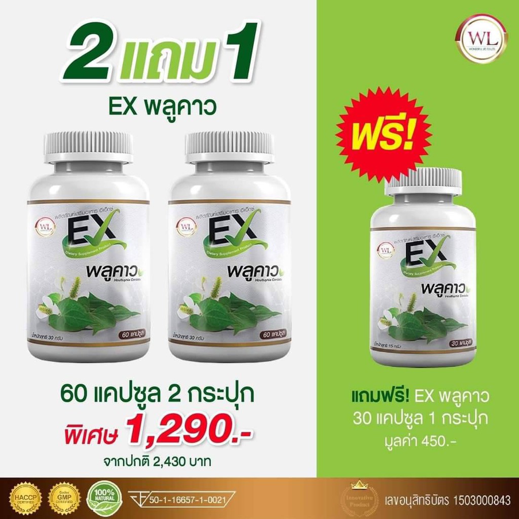 พลูคาวแคปซูล ถูกที่สุด พร้อมโปรโมชั่น - มิ.ย 2021 | BigGo ...
