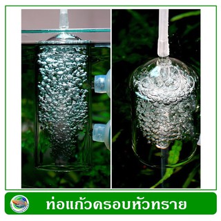 หัวทรายแก้ว แก้วครอบหัวทรายกันน้ำกระจายออก Air Stone Glass Cover