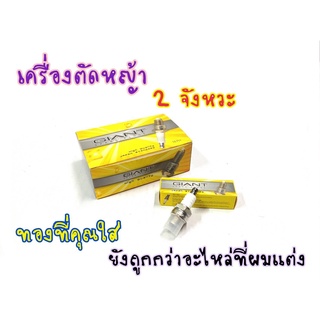 หัวเทียน เครื่องตัดหญ้า และรุ่นอื่นๆ