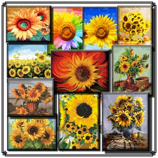 40*50cm DIY ภาพวาดสีน้ำมัน ภาพระบายสีตามตัวเลข Paint By Numbers  sunflower a lot