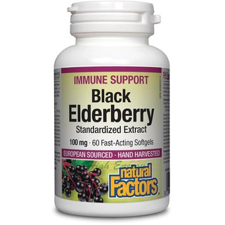 Natural Factors, Black Elderberry, Fast-Acting Softgels