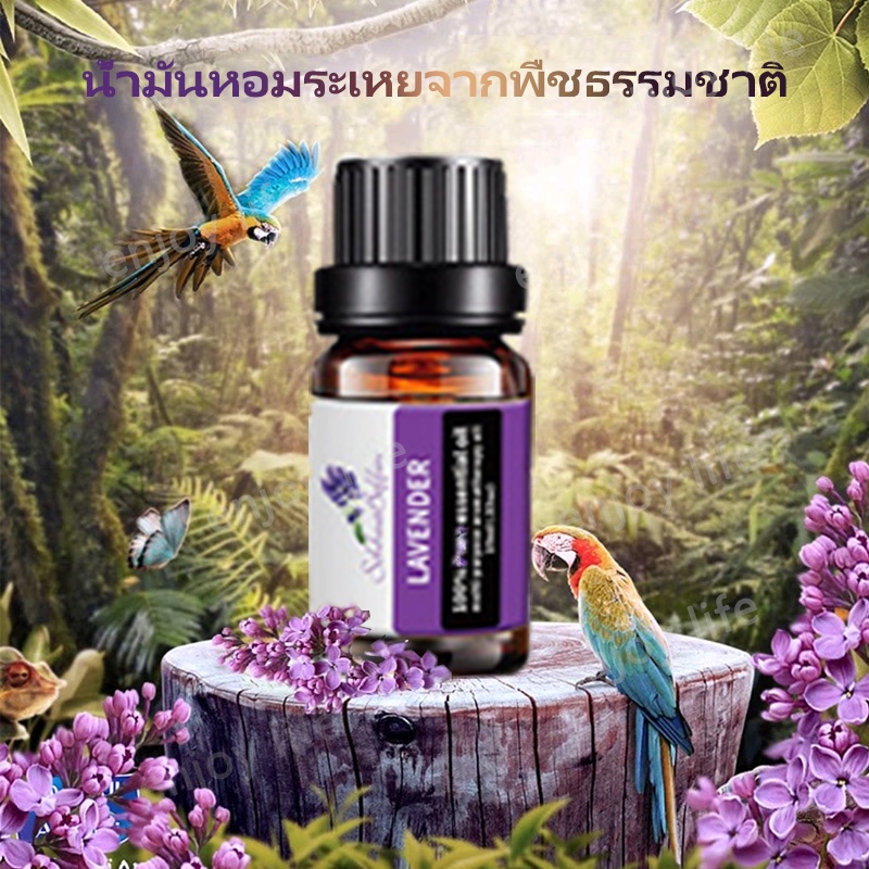 🌈น้ำมันหอมระเหย กลิ่นหอมธรรมชาติ Essential Oil 100% บริสุทธิ์ สารสกัดจากพืชและดอกไม้ 10 มล สารสกัดจากธรรมชาติ - รูปที่ 3